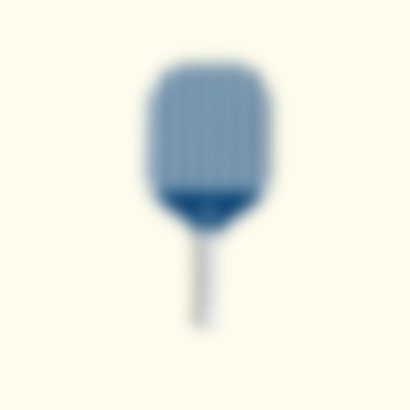 Starter Pickleball Paddle