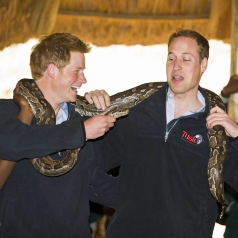 Rosamund Urwin Latest Articles Air Mail