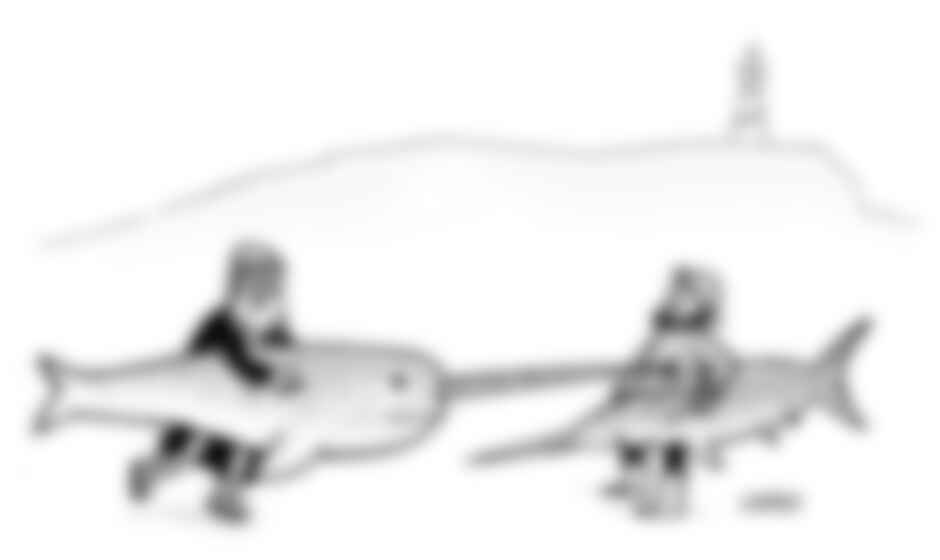 “Never bring a swordfish to a narwhal fight.”