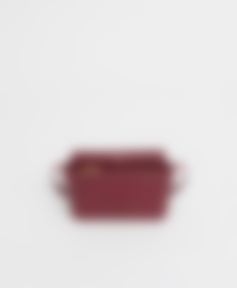 Clio Bag in Oxblood