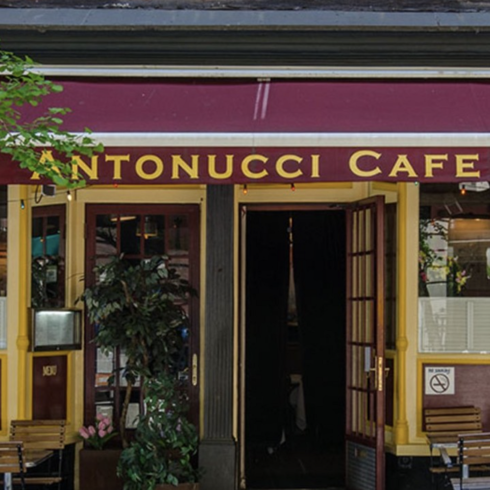 Antonucci Cafe in New York Arts Intel Report
