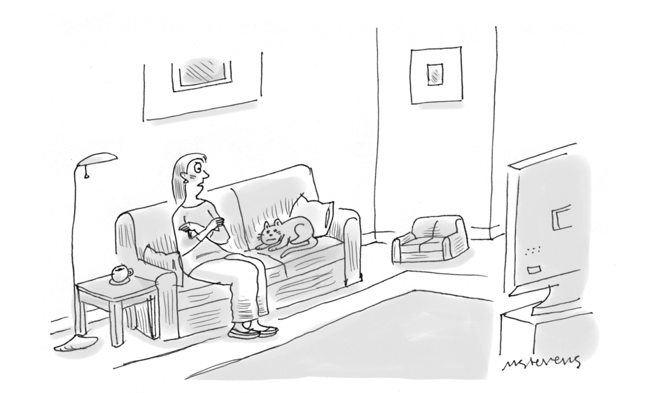 “Why can’t you use the special little cat couch I got you?”