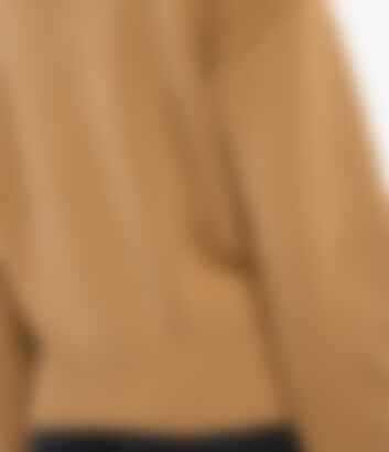 Cashmere Knit Sweatshirt in Camel