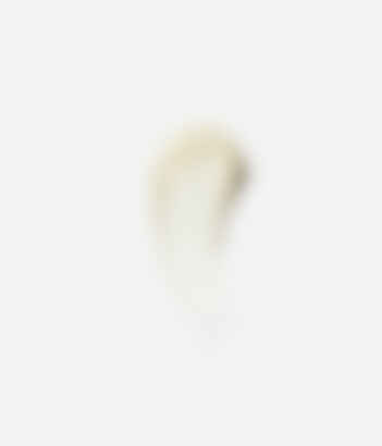 The Lip Balm Mint