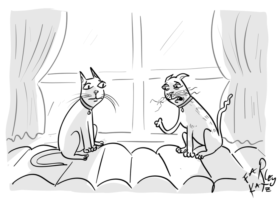“I post one thing about how de-clawing isn’t that bad, and now the whole world hates me.”