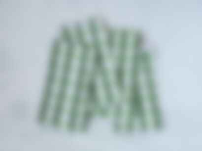 Dinner Napkins (Set of Four) in Plaid, Sage & Vine
