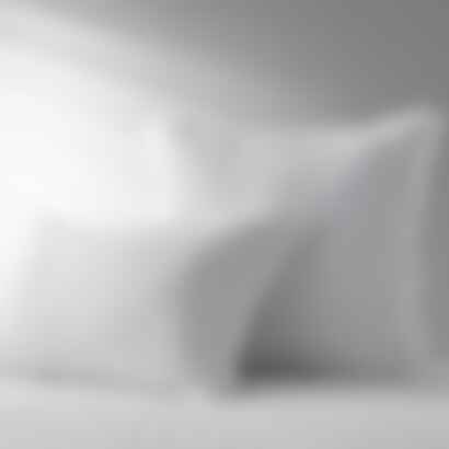 Linen-Bamboo Shams, Set of 2