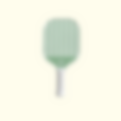 Starter Pickleball Paddle