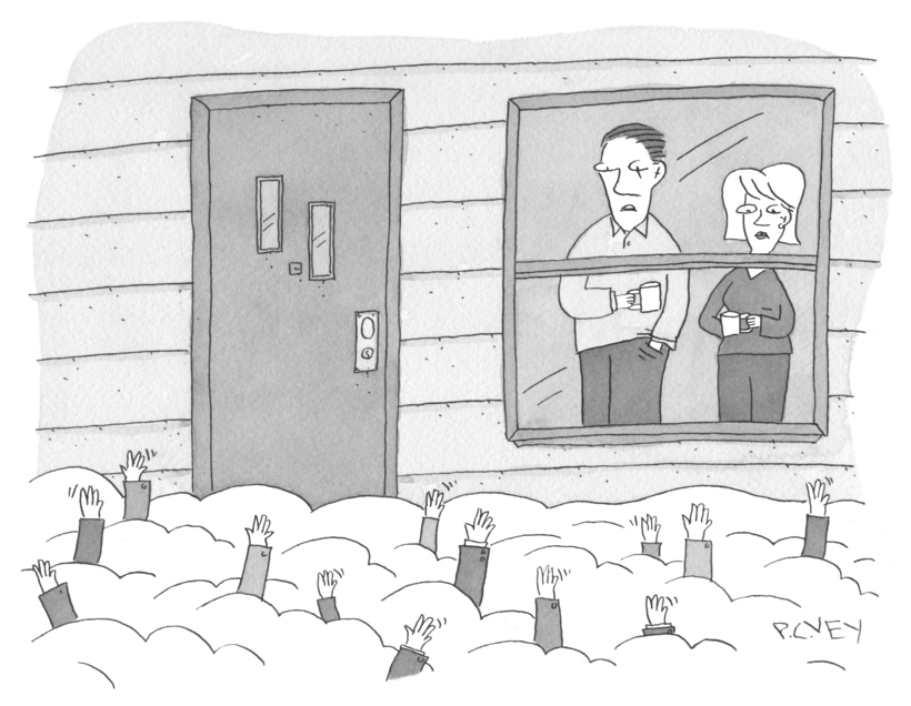 “We really need to do something about the lawn.”