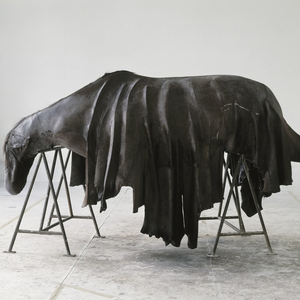 Berlinde De Bruyckere　The Embalmer Berlinde de Bruyckere – Kunstraum Dornbirn