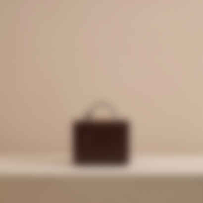Grace 21 in Chocolate