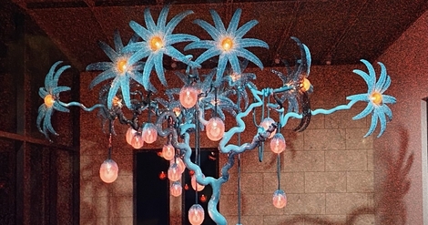 npwokqcq5gyw7amrq1krpcdy1hzx-