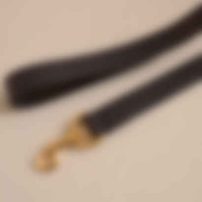 Pet Leash 30 in Luggage