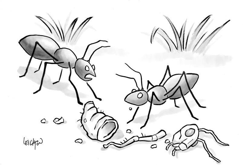 “If you’ve eaten the grasshopper, then you’ve completely missed the point of my story.”