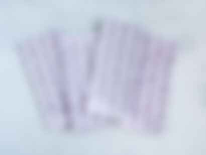 Dinner Napkins (Set of Four) in Protea, Sage & Lilac