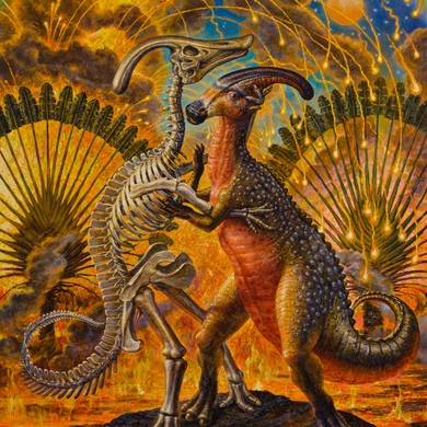 the north face puffer jacket 700