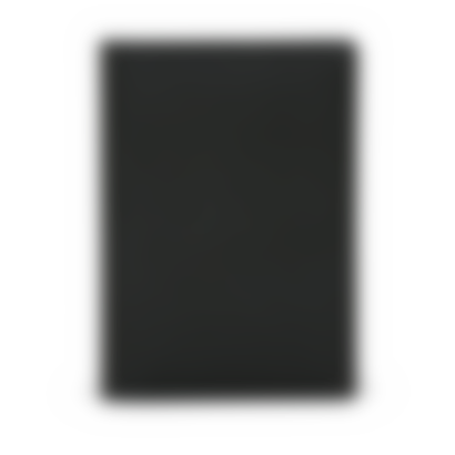 Passport Cover in Panama