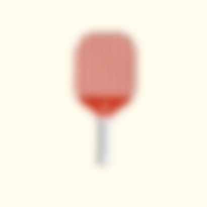 Starter Pickleball Paddle