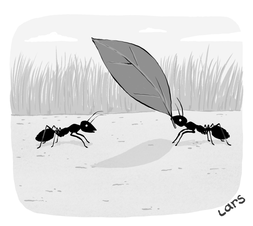 “I thought we said no presents!”