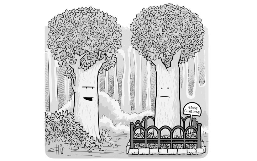 “Well, well. Look who’s back from trying to make it in the big city.”