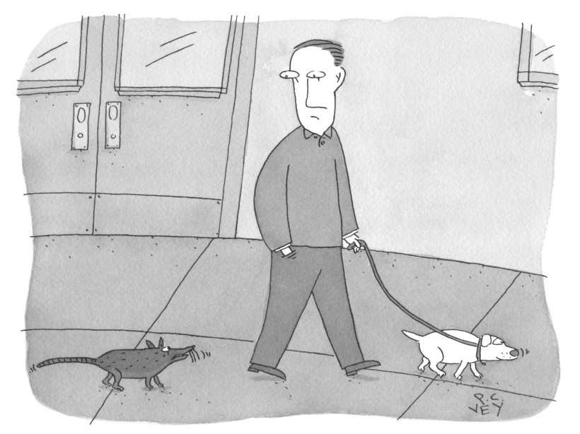 “O.K., well, think about it, but remember, I find my own food, I’m quiet, and you don’t have to take me for walks.”
