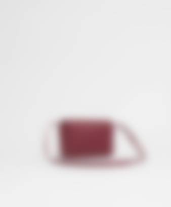 Clio Bag in Oxblood