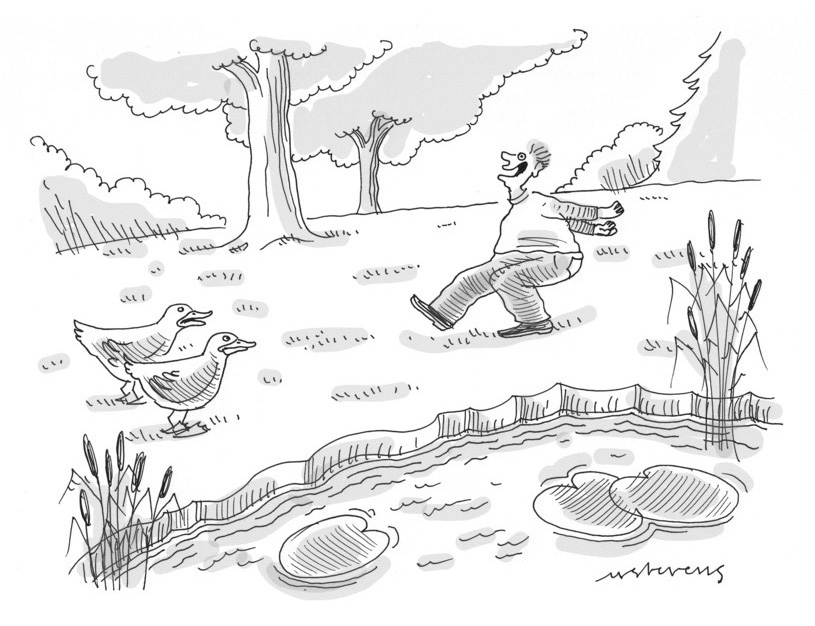 “It walks like a duck and it quacks like a duck, but personally I have my doubts.”