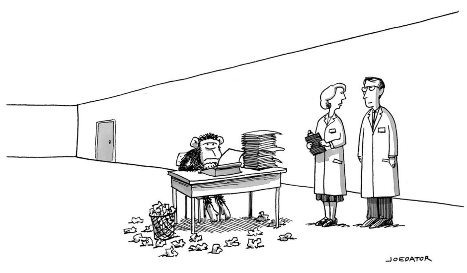 “It’s just one monkey at one typewriter, but we’ve given him an infinite need for validation.”